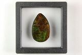 Vibrant, Iridescent Ammolite (Fossil Ammonite Shell) Cabochon #206052-1